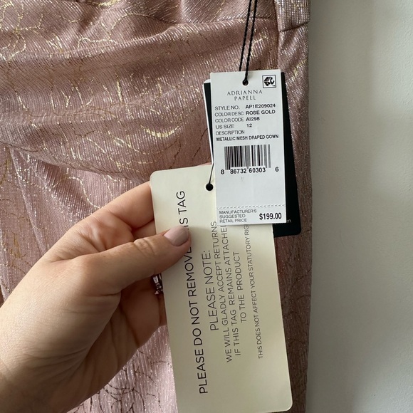 Adrianna Papell Blush Maxi Dress with Silver Accents - Picture 3 of 5